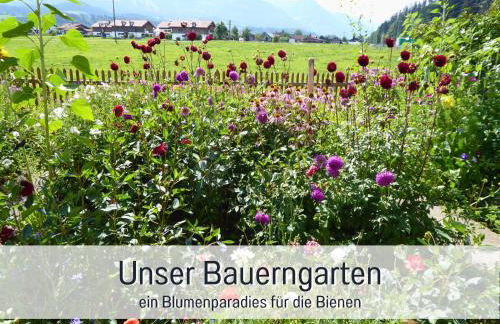Bauernhof Finkel - Ferienwohnungen mit Balkon - Bergsicht - Traktor mitfahren - Tiere streicheln - entspannter Familienurlaub - zentrale Lage nahe Oberstdorf - Photo 53