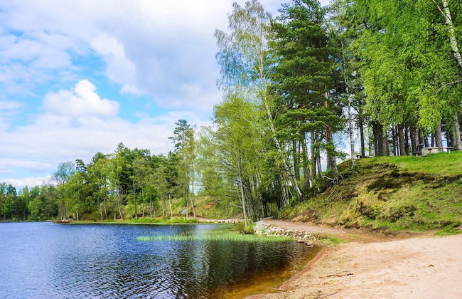 4 Person Holiday Home in Sandhem - Foto 30