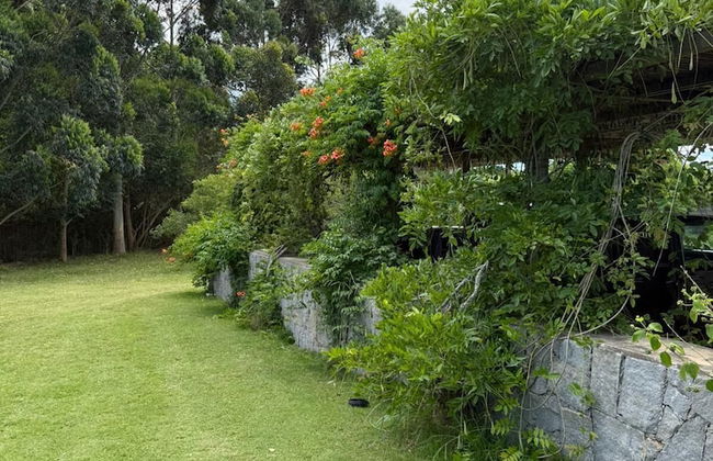 La Picarona - Foto 76