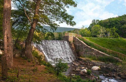 River Access Cabin w Hot Tub Kayaks WiFi Grill - Photo 26