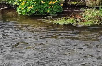 Ferienhaus am Bach - Foto 63