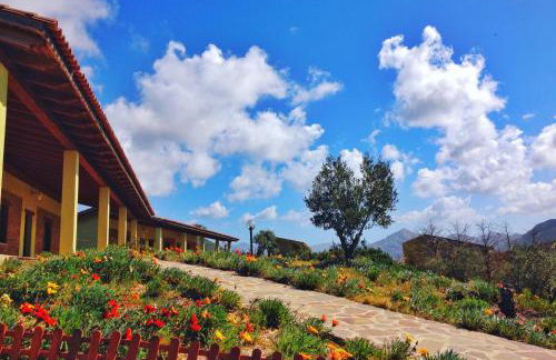 Agriturismo Il Ginepro - Foto 8