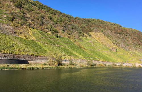 Ferienwohnungen Fuhrmann-Burg - Foto 58