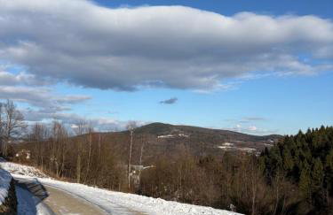 Dom w górach Zacisze lasu - Foto 23