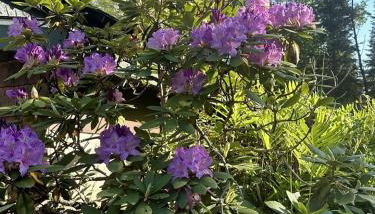 Hike & Ski Hideaway @ Lake Placid, NY - Foto 3