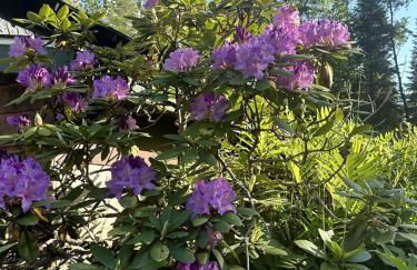 Hike & Ski Hideaway @ Lake Placid, NY - Foto 3