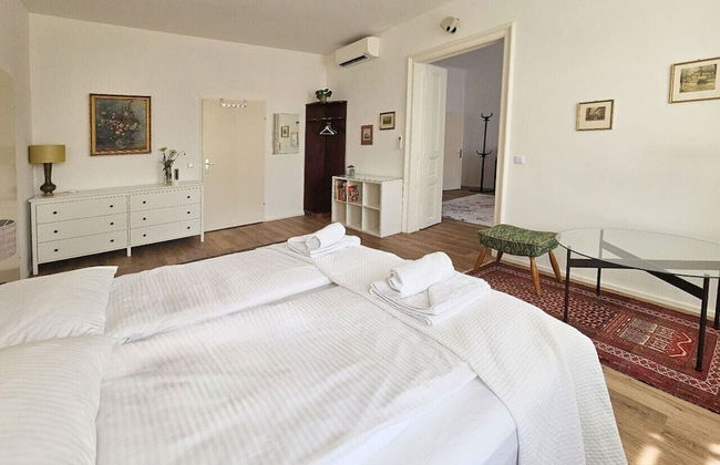 Orange Palm - Foto 16