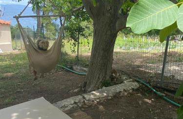 Green and Blue View - Foto 14