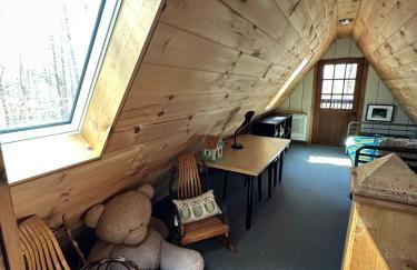 Bearly Behavin - Foto 51