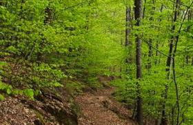 Ferienhaus Moser - Photo 24