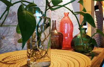 La Moña Casa Rural - Foto 28