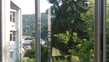 Ferienhaus Baederleiblick - Foto 5, Garden view