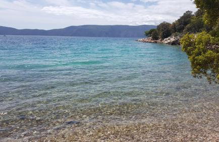 Eder´s Appartments 1 - Foto 14