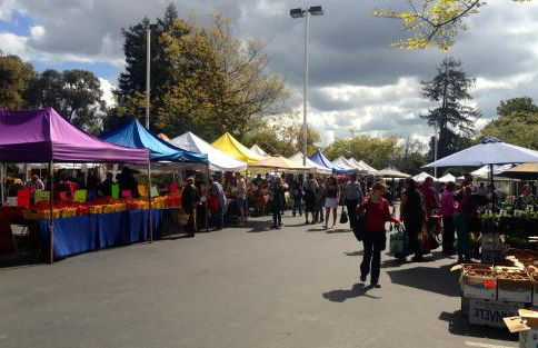 Modern & Open 2BR in Rockridge, Highly Walkable on Oakland Berkeley Border - Foto 51