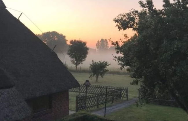 Strandnelke Modern Retreat - Foto 11