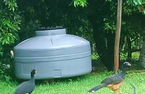 Nosso Cantinho Delfinópolis Serra da Canastra - Photo 23