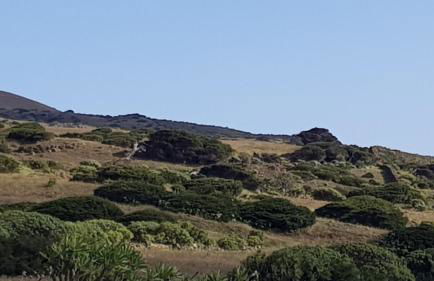 Casa Esteban Y Facunda - Foto 70