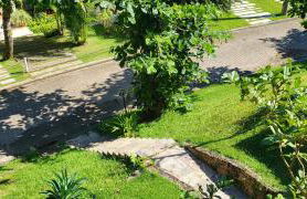 Green Toque-Toque - Foto 40