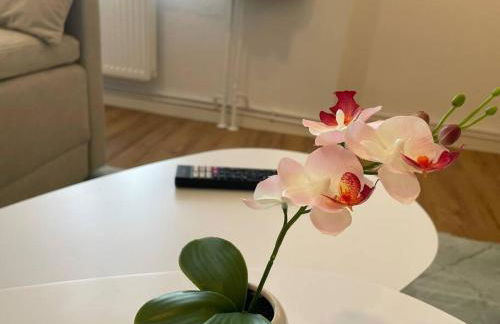 LUCKY STAYS LS08 - Vollausstattung - Zentrum - Aufzug - große Küche - 2 Zimmer - Smart-TV - Foto 23