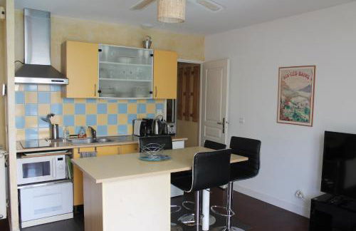 Au Cœur De La Riviera Des Alpes T2 - Foto 18