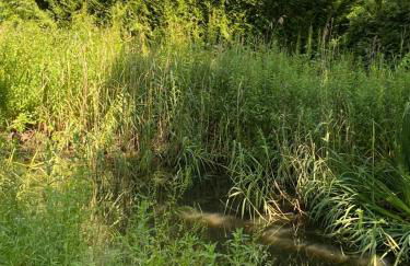 Seafret Barn sleeps two, North Norfolk - Foto 61