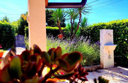 Apartman Pelcic,with WiFi and free parking - Foto 11