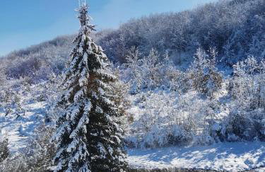 Apartman Sveti Rok - Foto 30