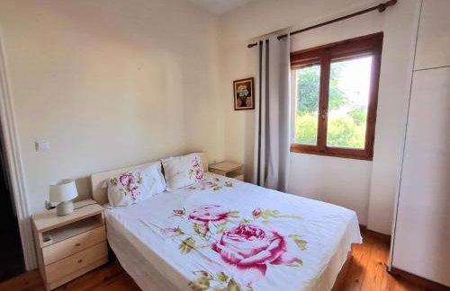 Dream view in Eretria - Photo 9