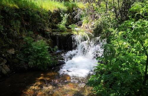 Aroma das Tílias - Foto 38