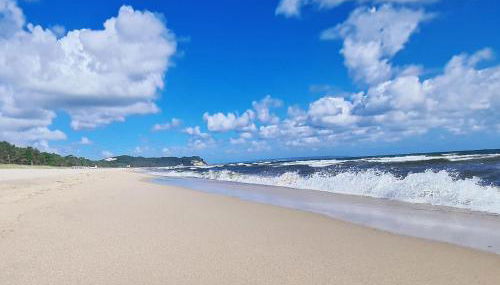 Pink und Meer - Foto 3, Other