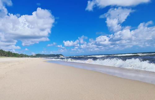 Pink und Meer - Foto 3