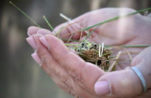 Monte Santo - Foto 41