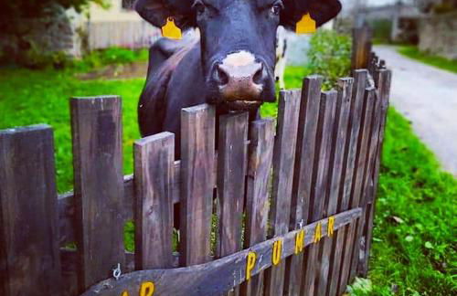 Fogar do Pumar - Foto 38