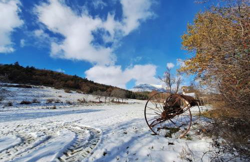 Le boisnheur - Foto 21
