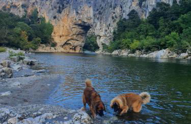 Lou Visetto à Vallon-Pont-d'Arc - Foto 7