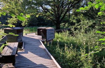 Magnifique appartement - Foto 7