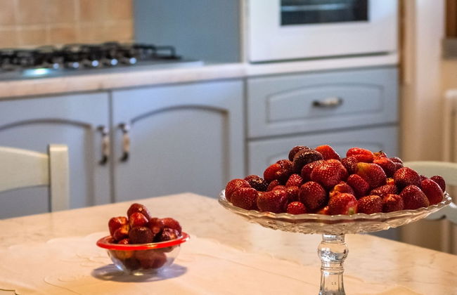 Farmhouse in Tuscany With Panoramic Pool - Foto 27