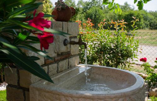 Villa Roza - Foto 18