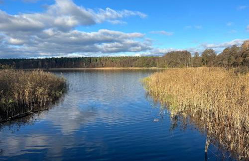 Apartment Spitzwegerich by Interhome - Foto 27