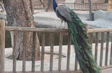 Appartement Guardamar Del Segura - Foto 24