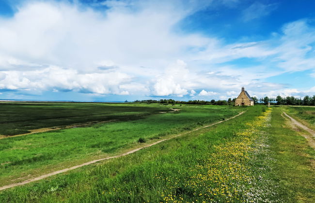 Les yeux dans la baie - Foto 23