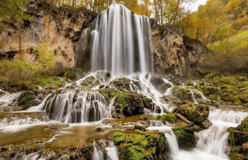 Jackson River Estate Cozy Cottage on the River - Foto 22