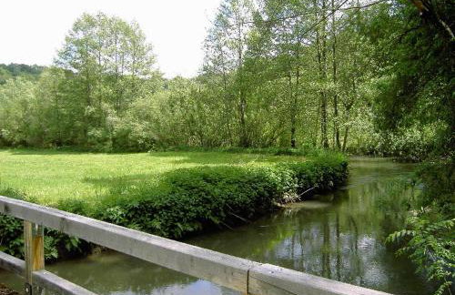 Ferienwohnungen Holder - Photo 11