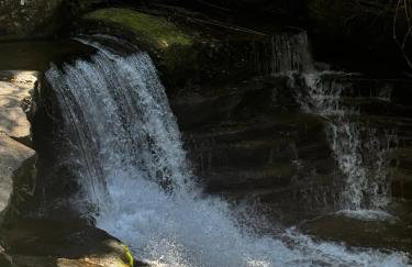 Canto dos Pássaros, Sana - Photo 32