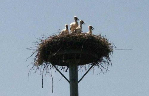 Ferienhaus Weitblick - Foto 19