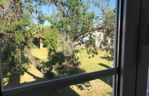 Villa c/ piscina próxima da praia - Photo 44