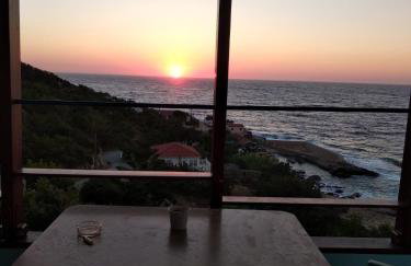 Artemis Apartment Ikaria - Foto 11