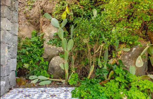 Dolce Lava - Natural Luxury Experience - Foto 90