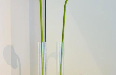 4-Studios - Photo 51