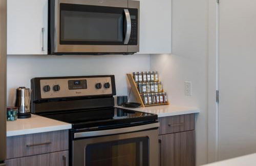 Hyatus Luxury Residences Boston South Bay Designer Collection - Photo 36